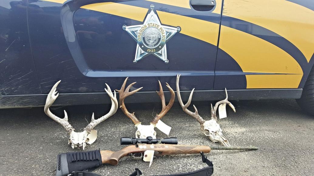 antlers and rifles seized from a poaching suspect in oregon