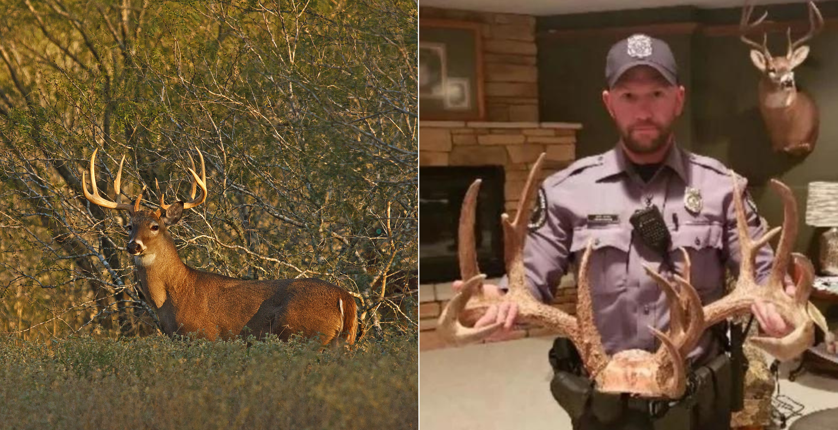 trophy buck poaching wisconsin