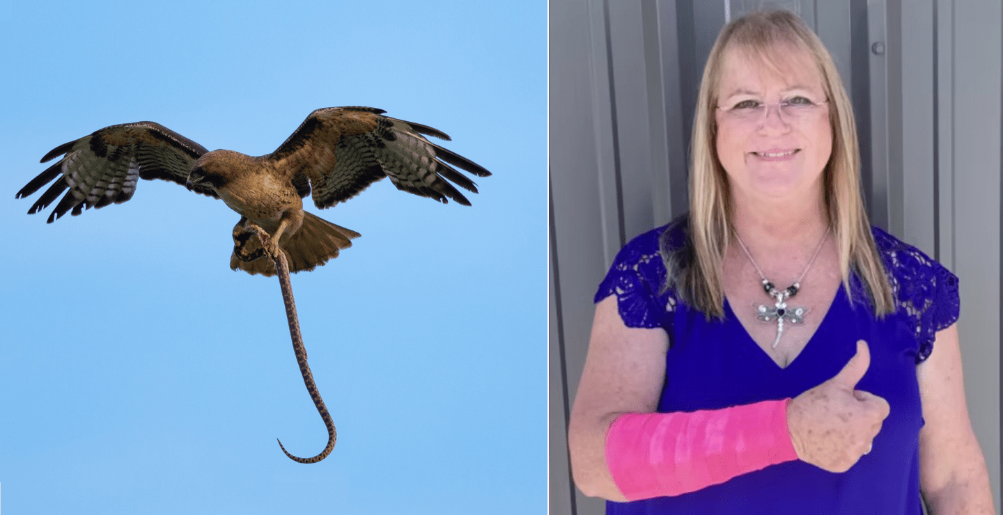 Woman Viciously Attacked By Snake and Hawk That Fell From Sky