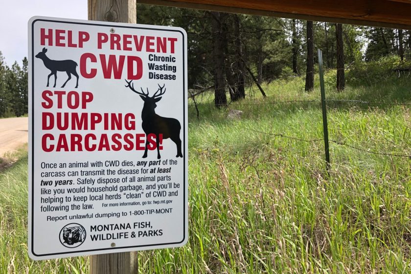 chronic wasting disease deer sign