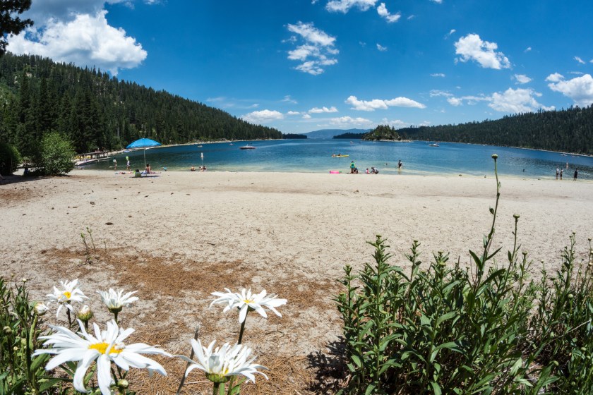 Fisheye of Emerald Bay in South Lake Tahoe, with wildflower daisies in foreground