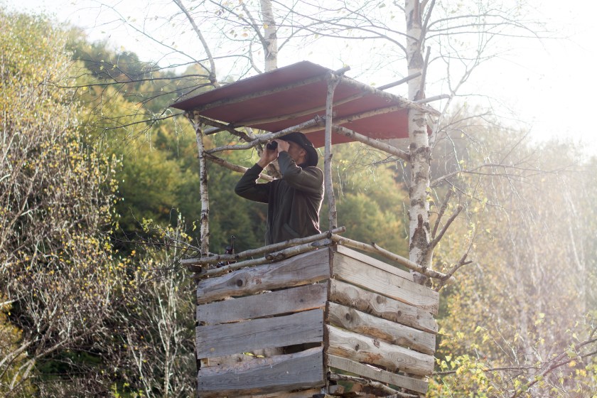 Portrait of hunter with rifle and binoculars in the forest