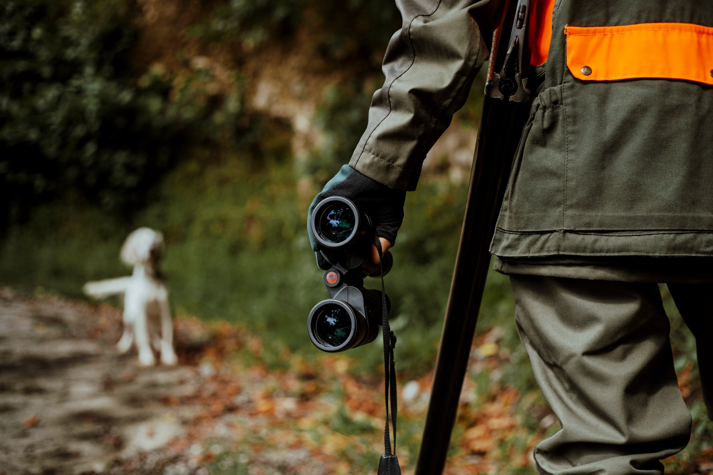 Scopes for Squirrel Hunting 4 Top Choices for Small Game