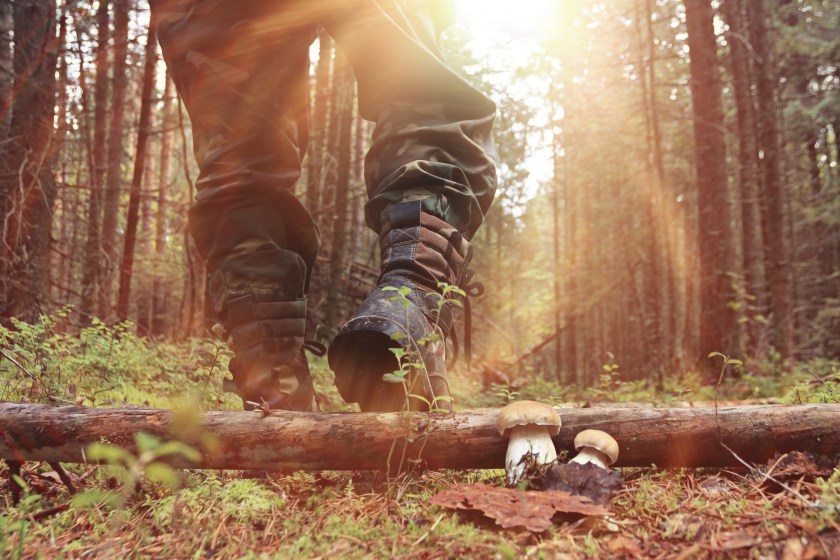 hiker killed in staged bear attack