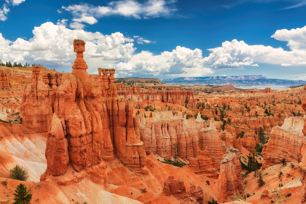 Great spires carved away by erosion in Bryce Canyon National Park, Utah, USA. The largest spire is called Thor's Hammer. 