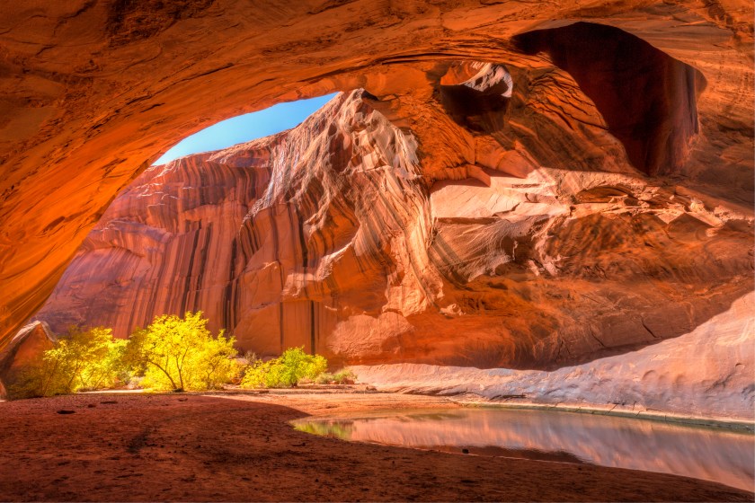 The red sandstone domed ceiling of Golden Cathedral in Neon Canyon has two arch potholes, with Yellow Cottonwood trees in Autumn, in Grand Staircase Escalante National Monument, Utah.