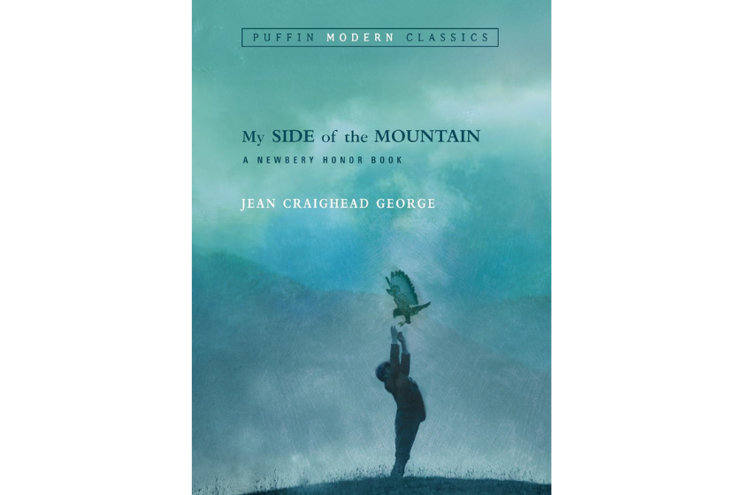 "My Side of the Mountain" book cover