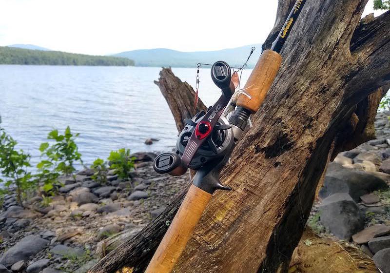 The Revo Reel leaned against a tree in front of a body of water