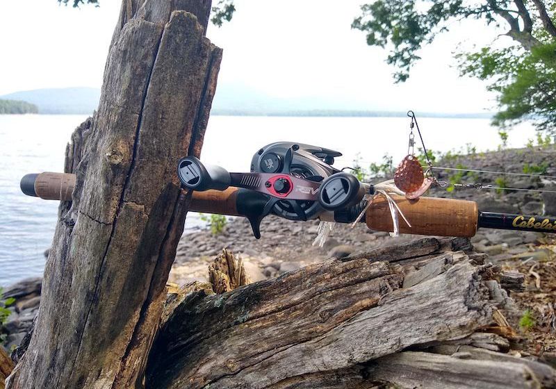 The Revo Reel lodged into the trunk of a tree