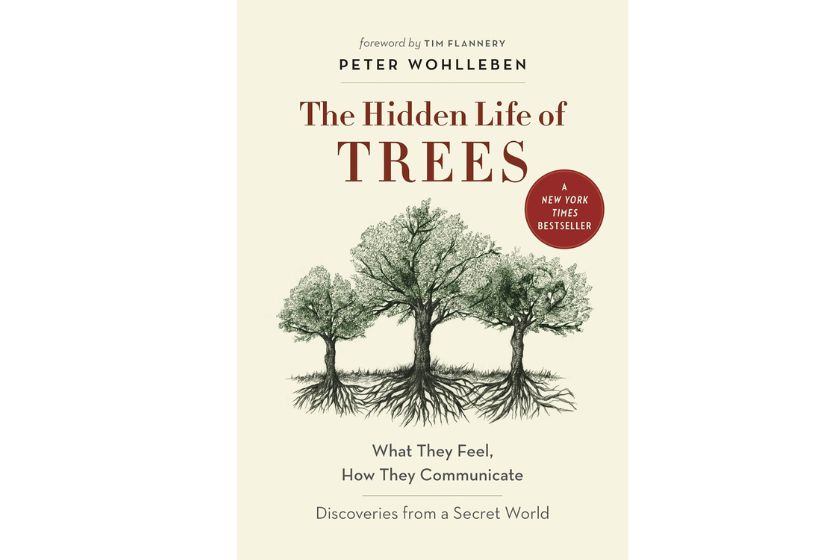 "The Hidden Life of Trees" book cover