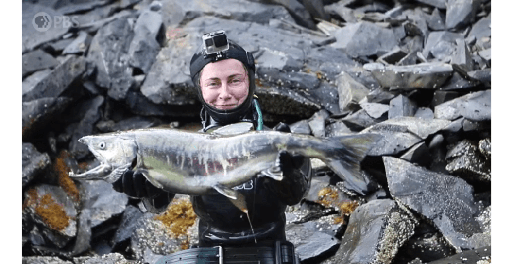 biggest silver salmon caught on pole spear