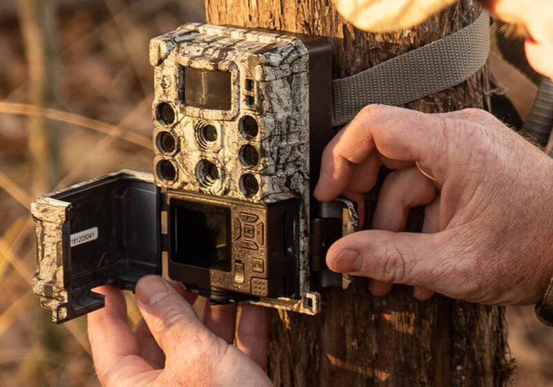 Person attaching a camouflage trail camera to a tree