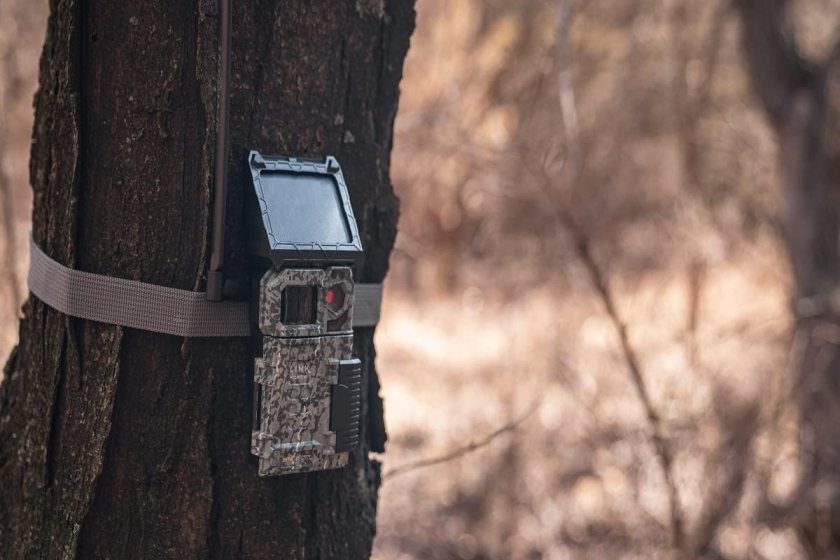 A trail cam attached to a tree