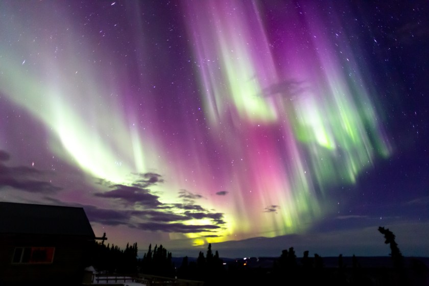 northern lights in Fairbanks