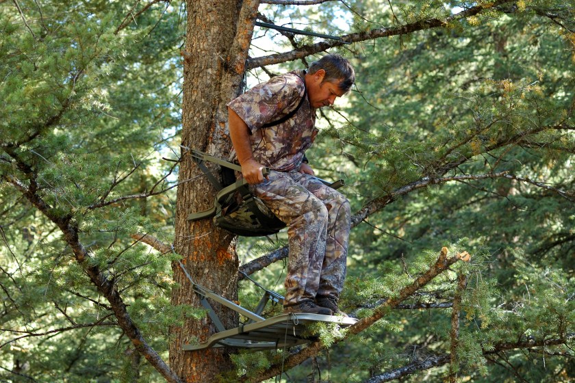 A bowhunter sets up his tree stand for elevation.