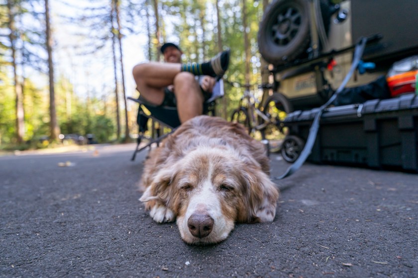 A pet dog sleeps while tied to the hitch of an RV camper van while on an outdoor adventure camping trip with his owners in Oregon. The dog's owner is sitting in a camp chair in the background.