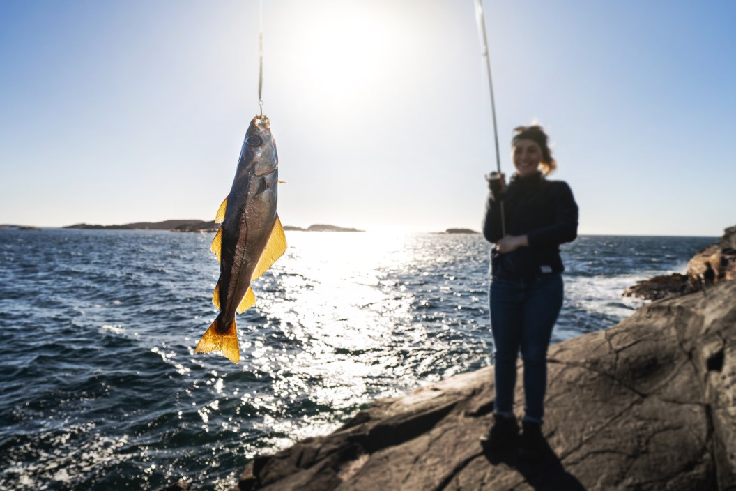 Outdoor in Norway: Woman spinning fishing in the sea with a rod got a fish