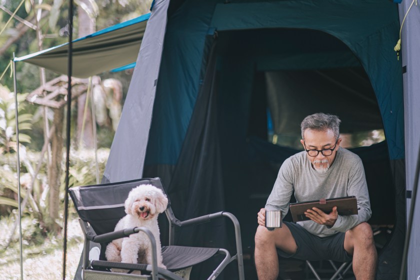 asian chinese senior man using digital tablet at camping chair in the morning with his toy poodle