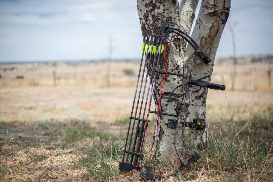 Compound bow and black arrows leaning against an aspen tree.