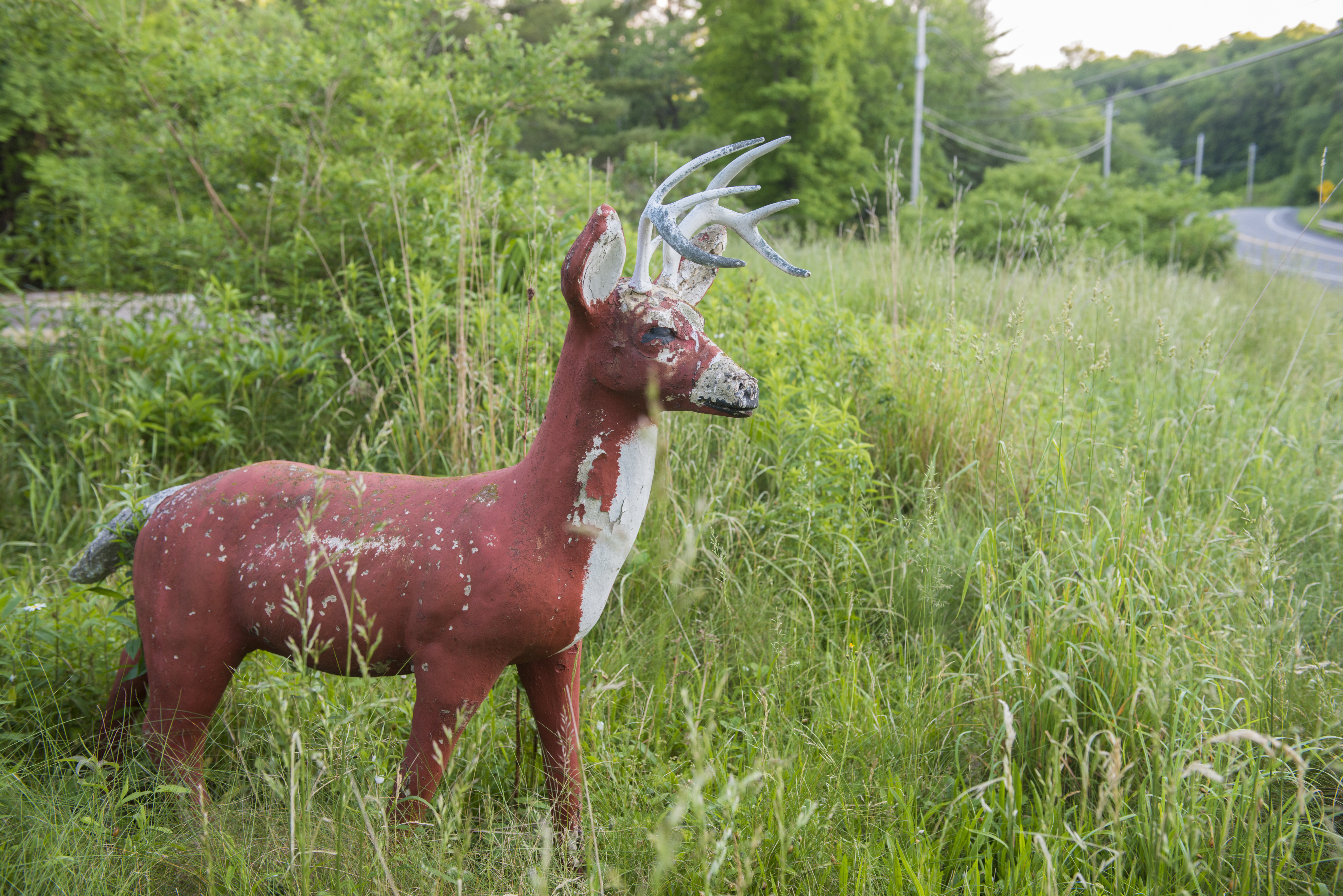 Deer decoy by the side of the road.