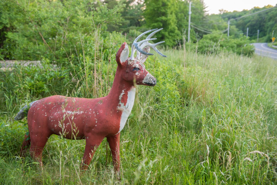 Deer decoy by the side of the road.