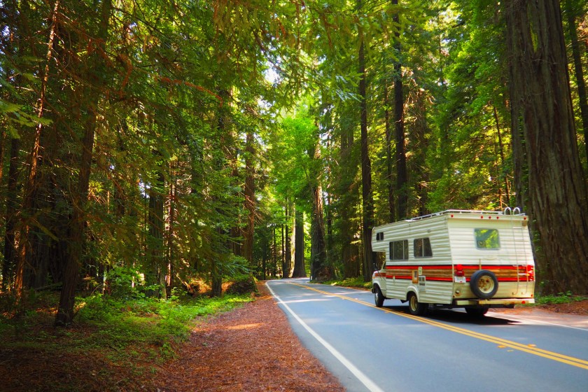 A camper drives through the California redwoods.