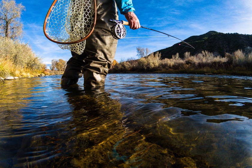 Fly Fishing on Scenic River - Environmental portrait of Fly Fisherman on sunny fall autumn day catching trout.