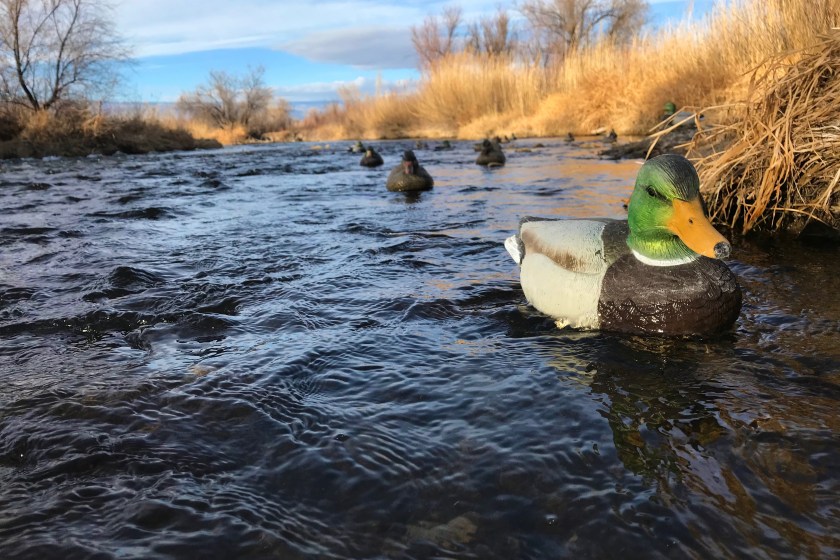 A duck decoy can be a major help during duck season.