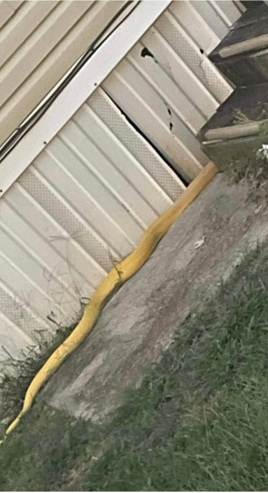 Snake near a home in Oklahoma trailer park