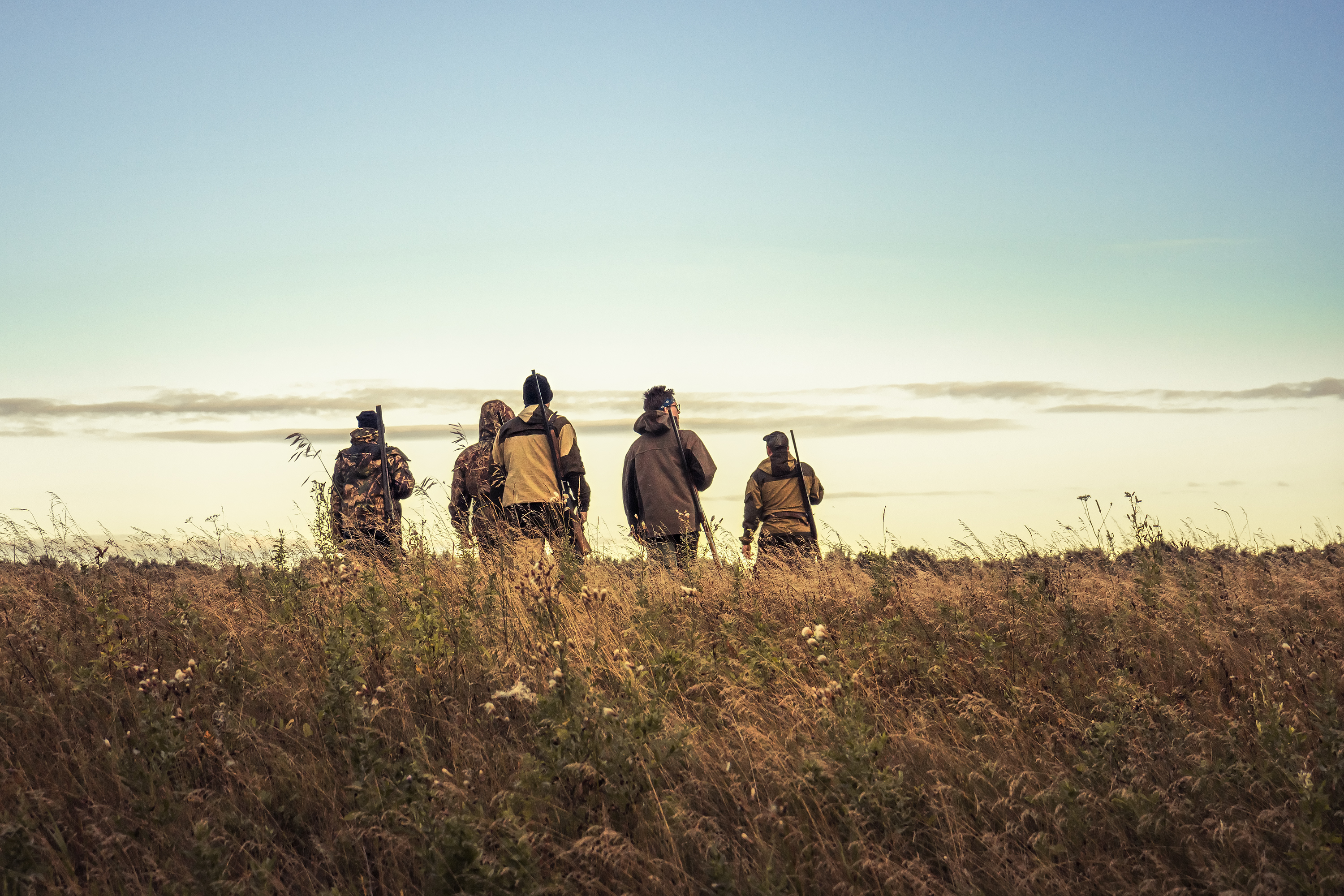 Hunters silhouettes against sky going through rural field towards horizon during hunting