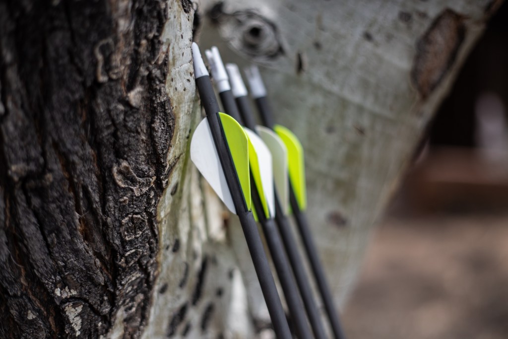 Compound bow and black arrows leaning against an aspen tree.