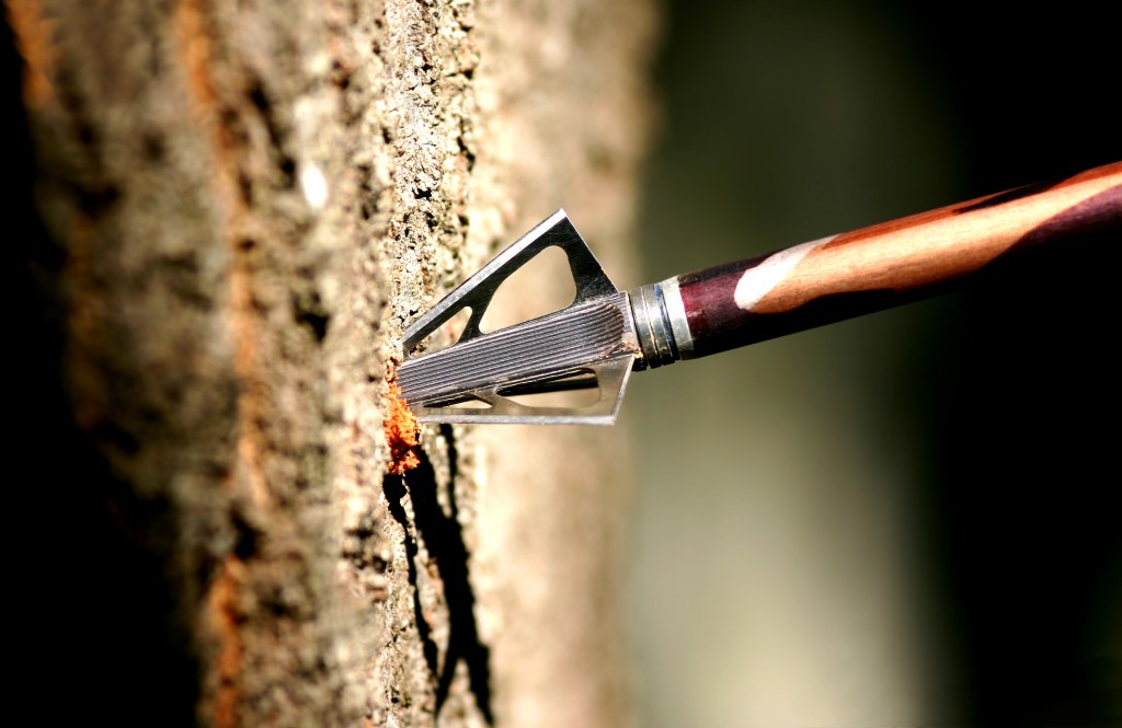 Macro shot of a hunting arrow stuck in a tree.
