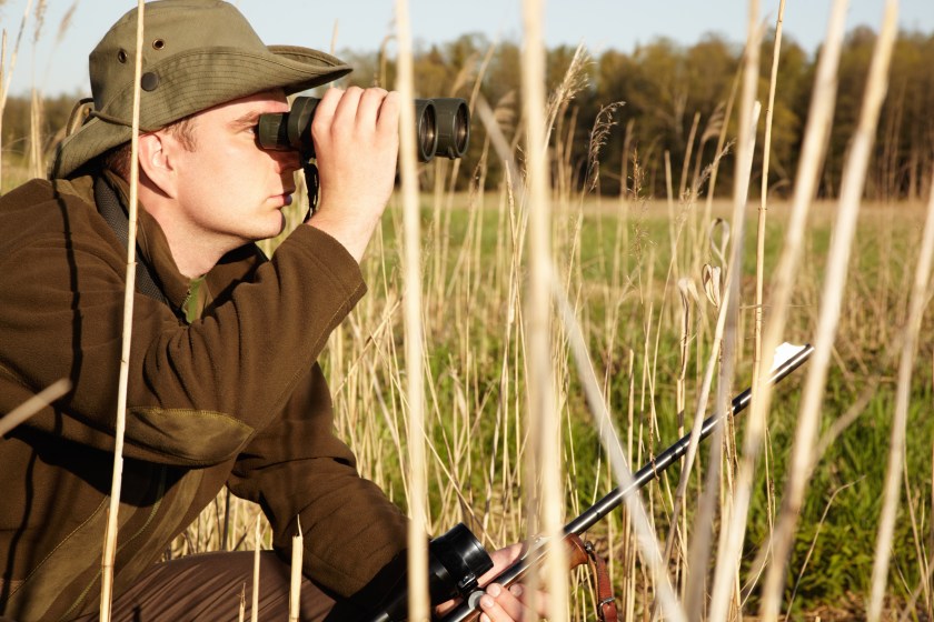 Glassing the field is part of still hunting.