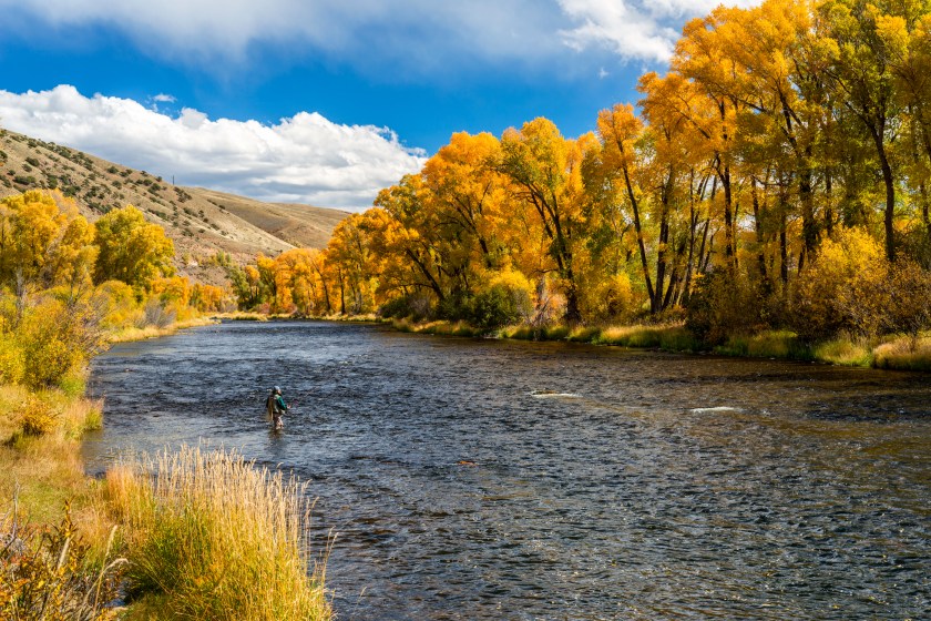 Good wet fly swinging water for trout.