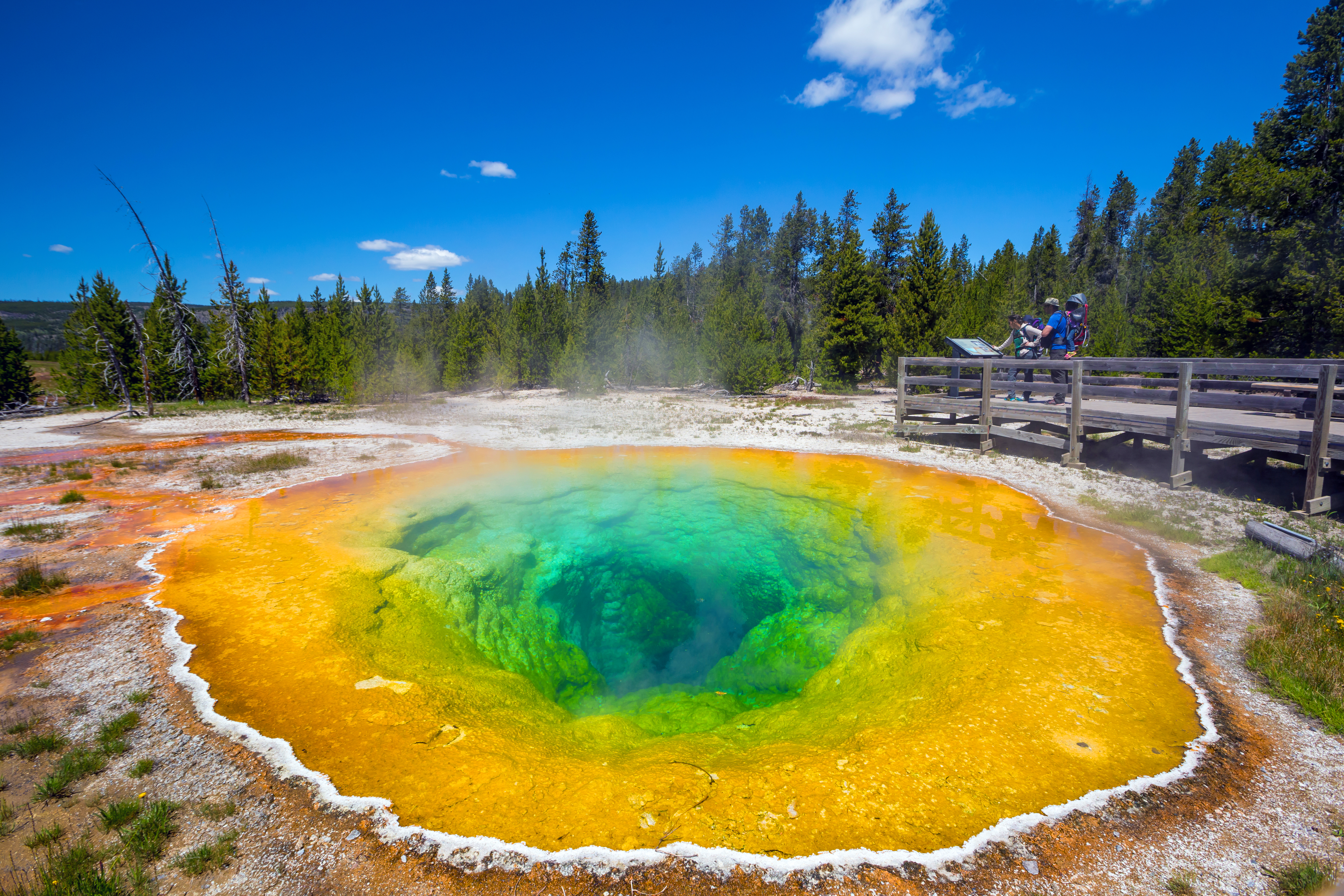 Morning Glory Pool in Yellowstone National Park of Wyoming, USA