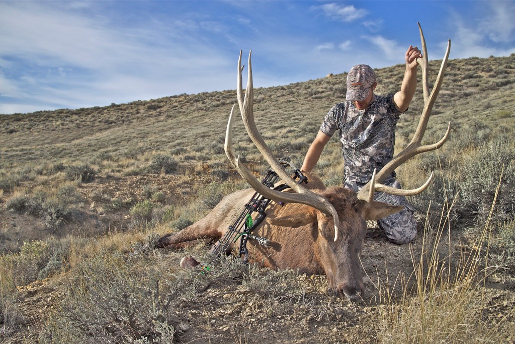 Bull elk harvested in Montana