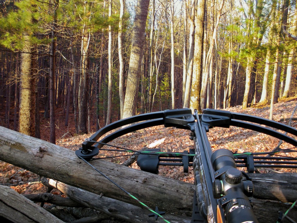 crossbow on tree trunk in autumn woods