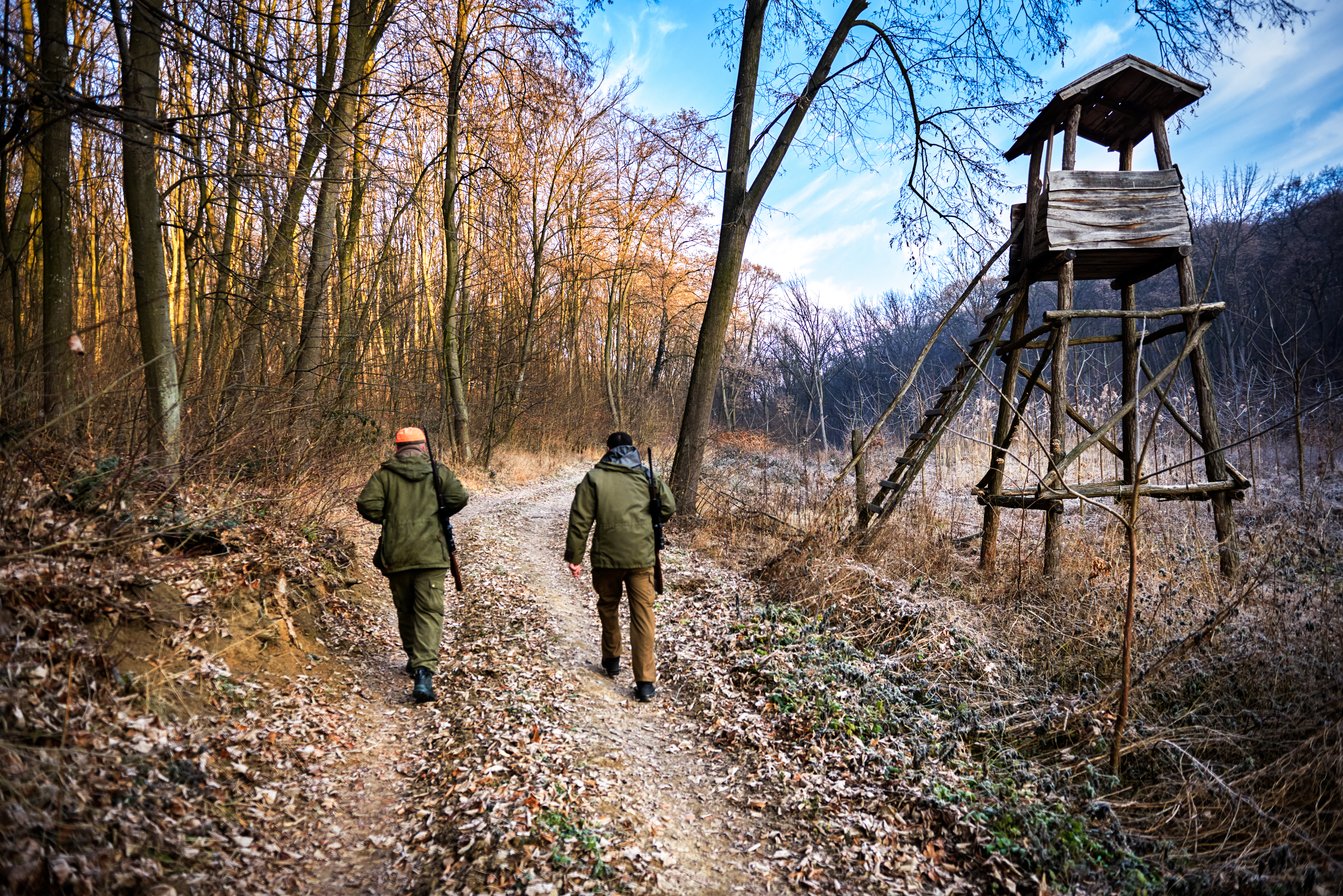 Still-hunting involves leaving the treestand and moving slowly in search of deer.