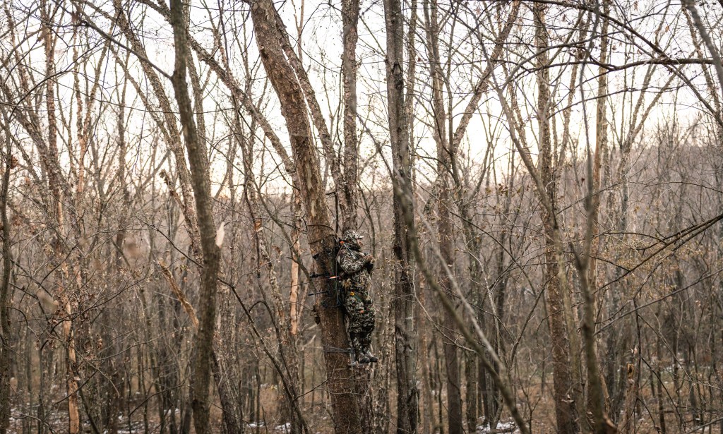 Hunter in tree stand