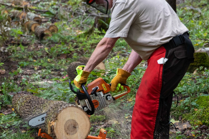 Person standing outdoors, cutting a log