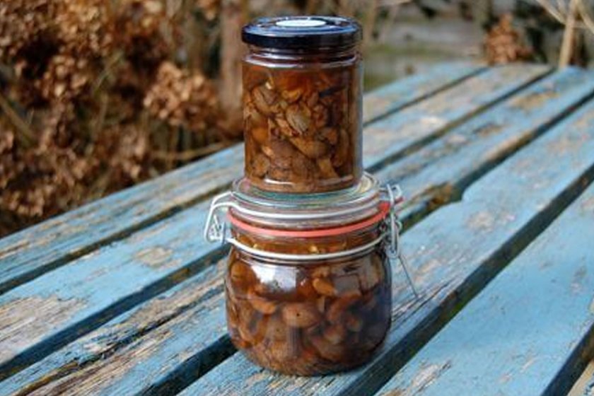 Spiced Pickled Acorns