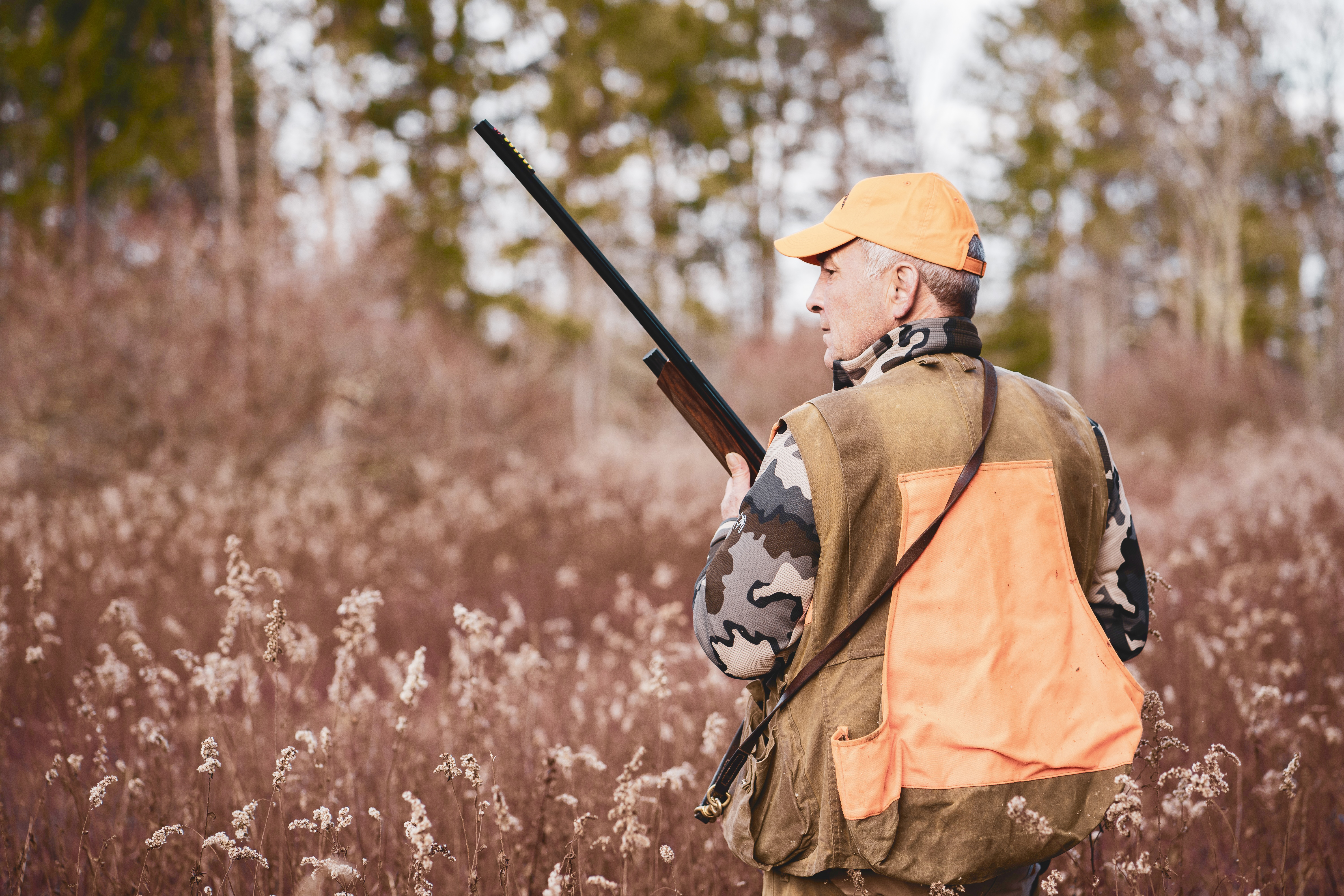 upland hunter in field