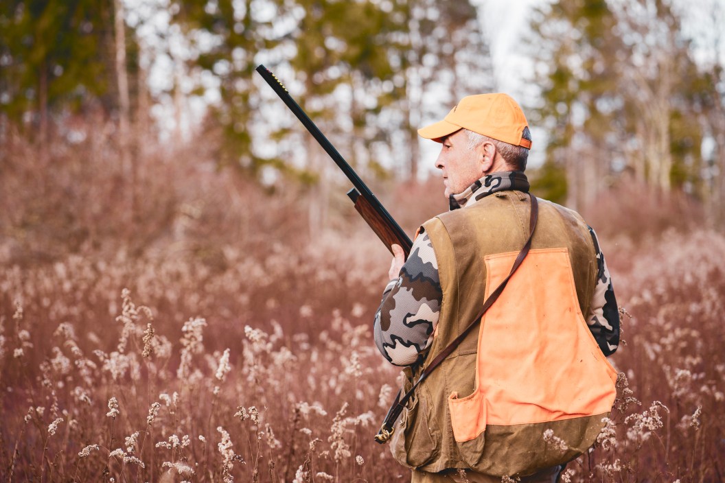 upland hunter in field