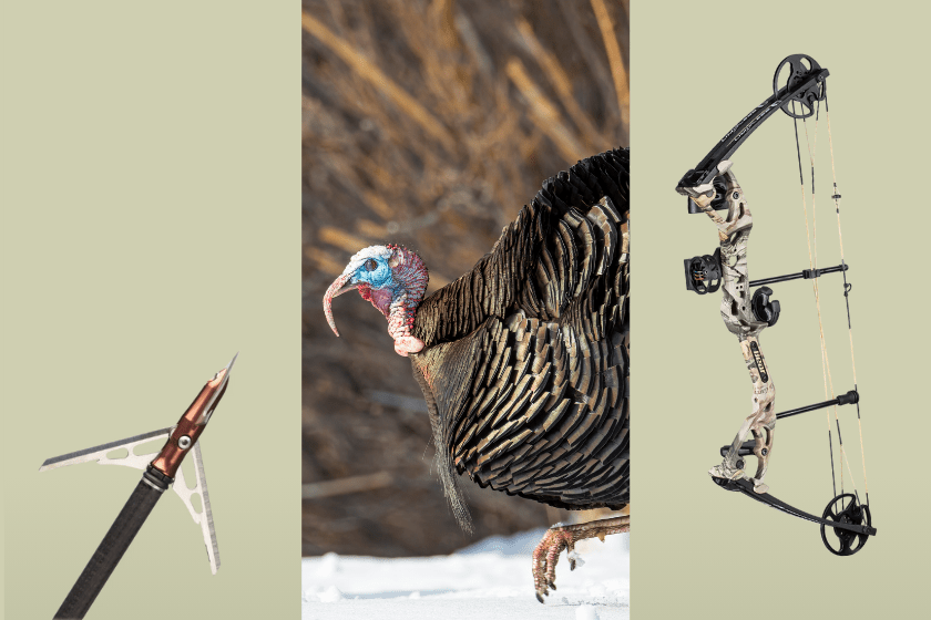 a bow and arrow and turkey coordinated in a photo collage on a light green background