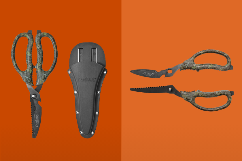 A pair of hunting scissors on an orange background