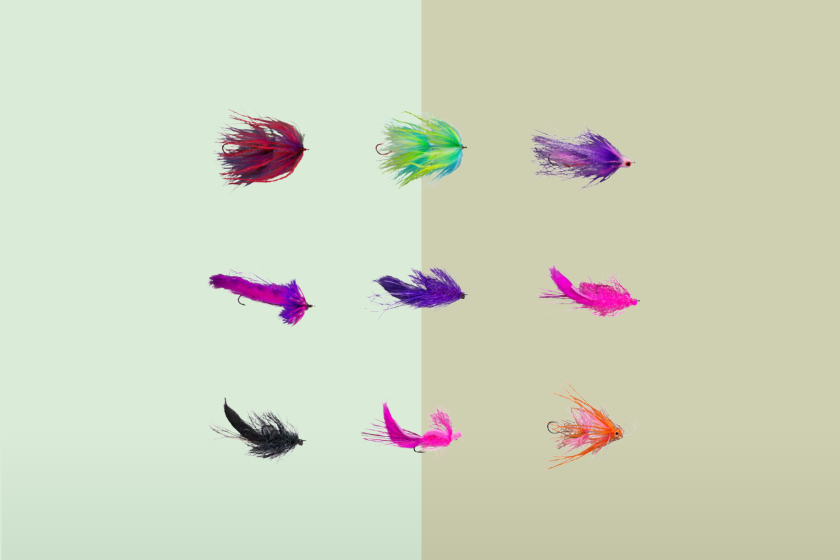 An assortment of wet flies in different colors from Umpqua