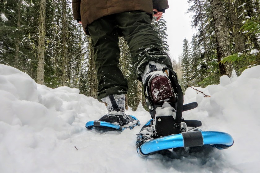 A ground view and closeup of the legs and feet of a person wearing nice snowshoes as they walk with the beautiful winter landscape and snow covered forests of Fernie, British Columbia, Canada.