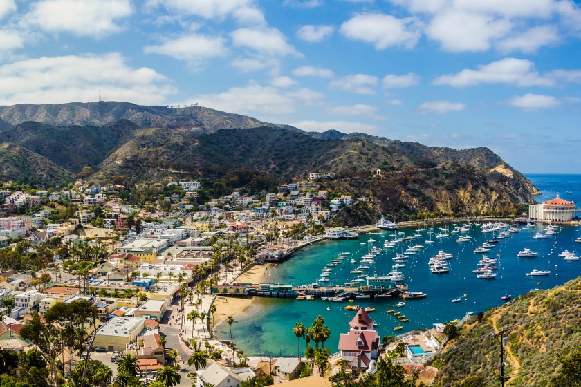 California island paradise. An ideal day captured on the Southern California island getaway - Catalina.