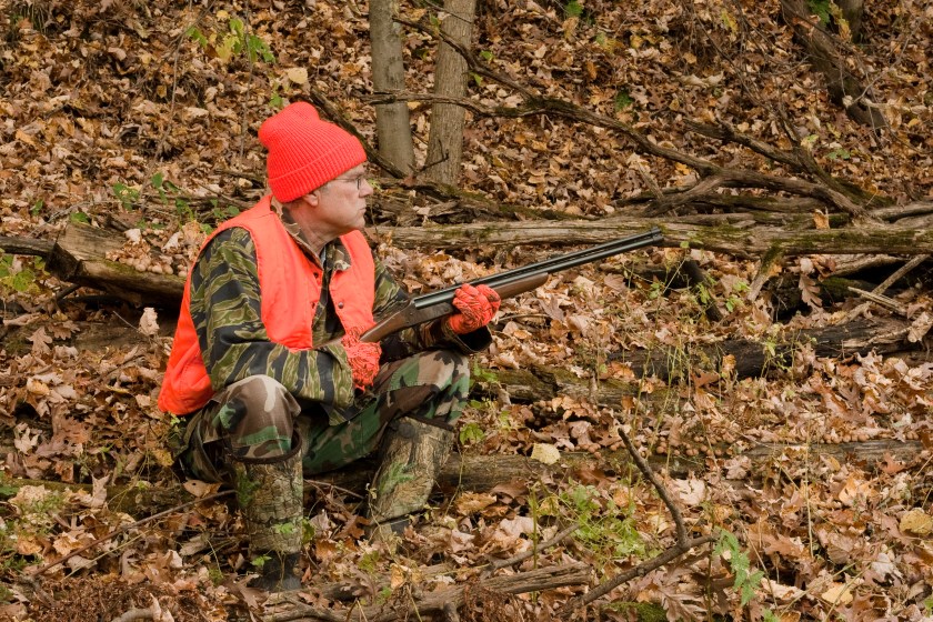 Don't use a treestand on public lands.
