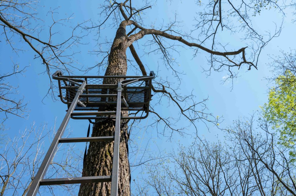 Low angle view of two person tree stand with ladder strapped to a tall tree in the woods under a blue sky. Hunting or nature observation tree stand.